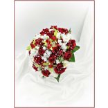 Vörös-rózsa örök-csokor fehér díszítéssel + kitűzővel 