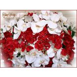 Piros-fehér orchideás örök-főasztaldísz 