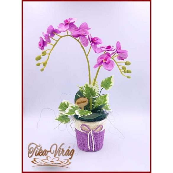 Orgona-lila Orchidea kaspóban örök-Home-dekor 
