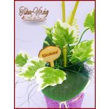 Orgona-lila Orchidea kaspóban örök-Home-dekor 