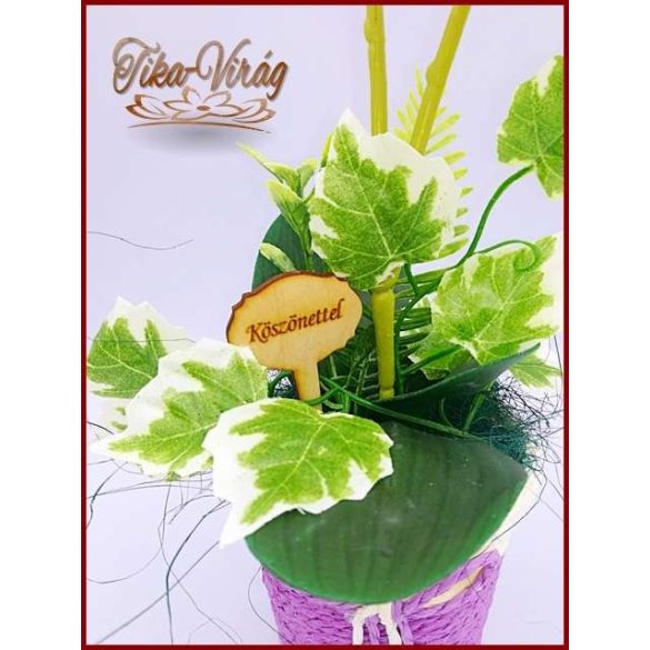 Orgona-lila Orchidea kaspóban örök-Home-dekor 