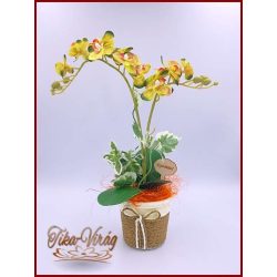Sárgás-zöld-Orchidea kaspóban örök-Home-dekor 