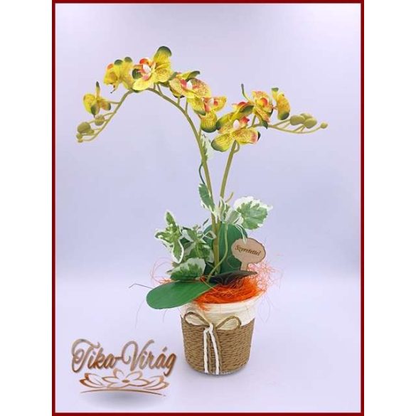 Sárgás-zöld-Orchidea kaspóban örök-Home-dekor 