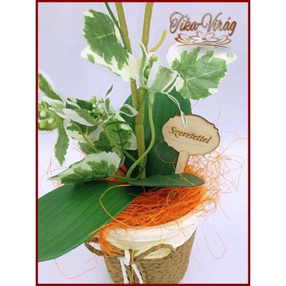 Sárgás-zöld-Orchidea kaspóban örök-Home-dekor 