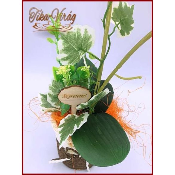 Narancssárga Orchidea kaspóban örök-Home-dekor 