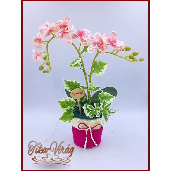 Rózsaszín Orchidea kaspóban örök-Home-dekor 
