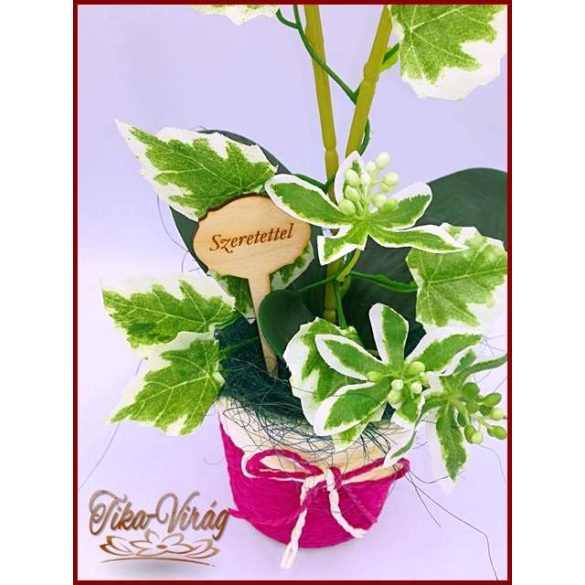 Rózsaszín Orchidea kaspóban örök-Home-dekor 