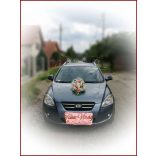 Barack-ekrü autódísz 