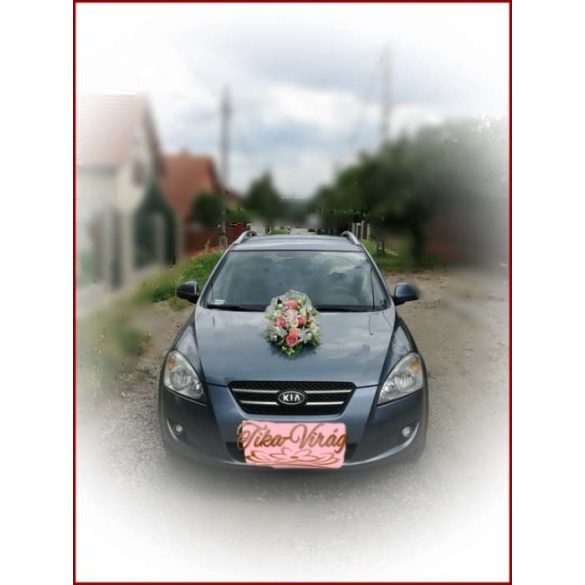 Barack-ekrü autódísz 