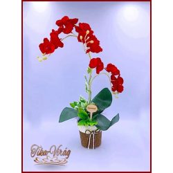 Piros Orchidea kaspóban örök-Home-dekor 