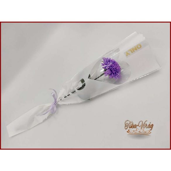 Lila színű szappanszegfű díszcsomagolásban 