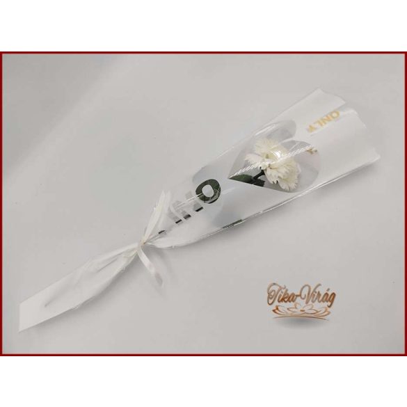 Ekrü színű szappanszegfű díszcsomagolásban 