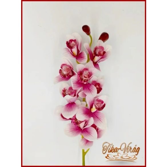 Orchidea szál mályvás színű 
