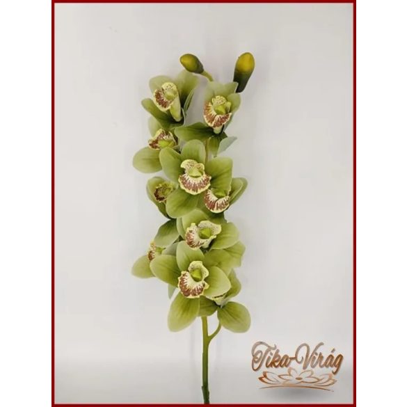 Orchidea szál különleges zöld színű 