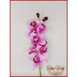 Orchidea szál különleges pink színű 