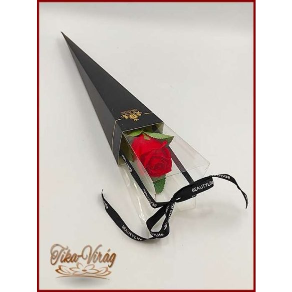 SZAPPANRÓZSA DÍSZDOBOZBAN piros 