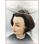 Korona B3873-181210.