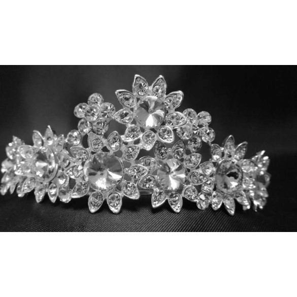 Diadém C4591-170809.