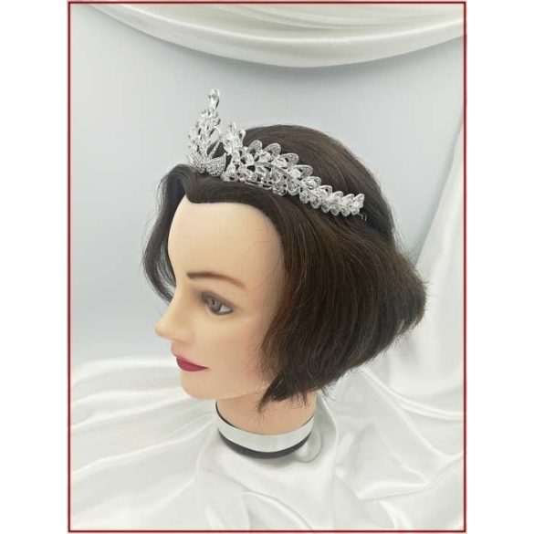 Korona C4591-180909.