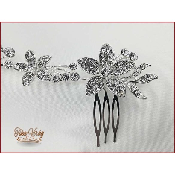 Strasszos Kontytű C4619-170504.1.