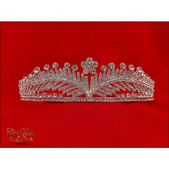 DIADÉM CALNC-20102.