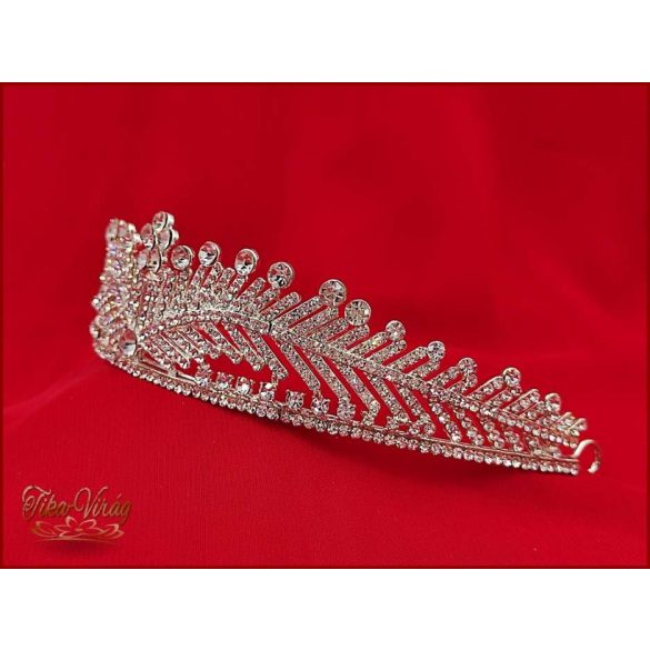 DIADÉM CALNC-20102.