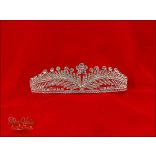 DIADÉM CALNC-20102.