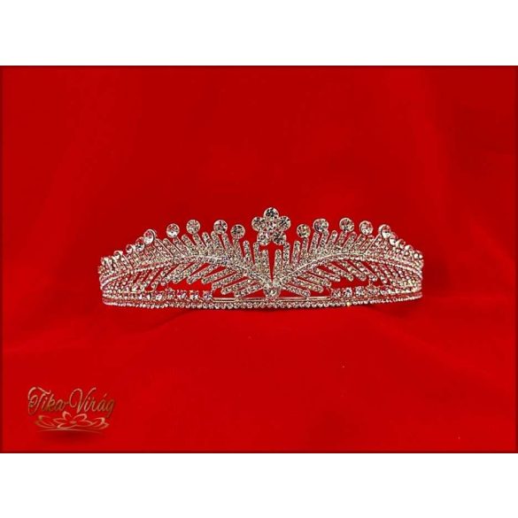 DIADÉM CALNC-20102.