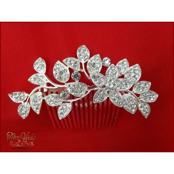 STRASSZOS KONTYTŰ CARCI-191004.