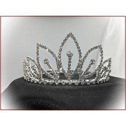 Korona D4992-170209.