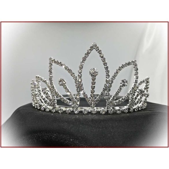 Korona D4992-170209.