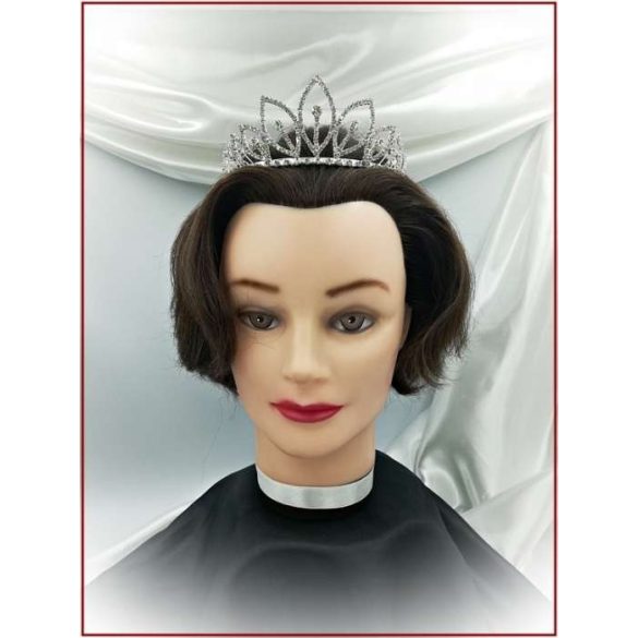 Korona D4992-170209.