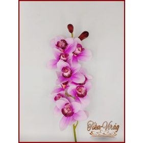 Gumi Orchideák 